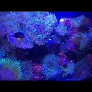 Meet your Posher, Shellie